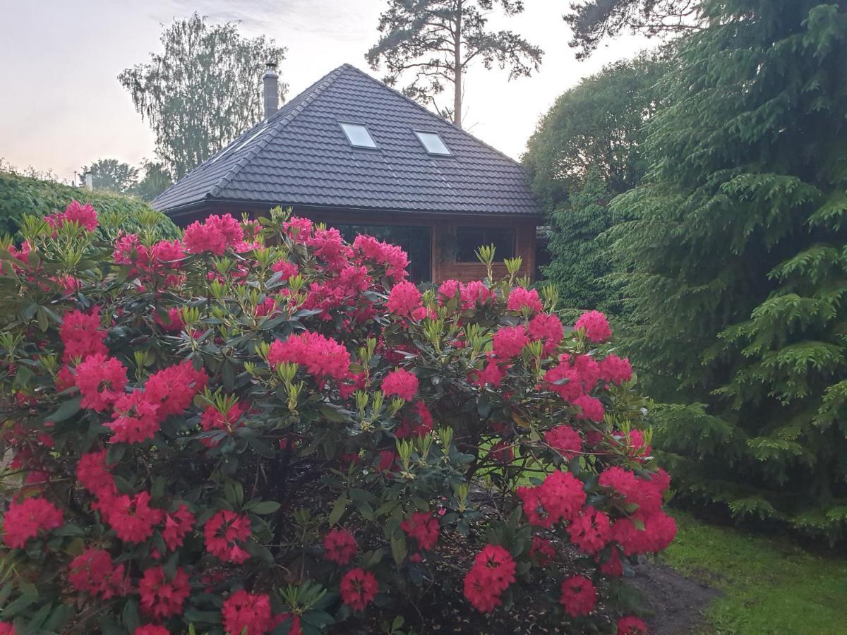 Bitte Three Bedroom Design Cottage Jurmala Luaran gambar